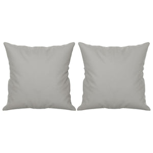 2-Sitzer Sofa Hellgrau mit Kissen
