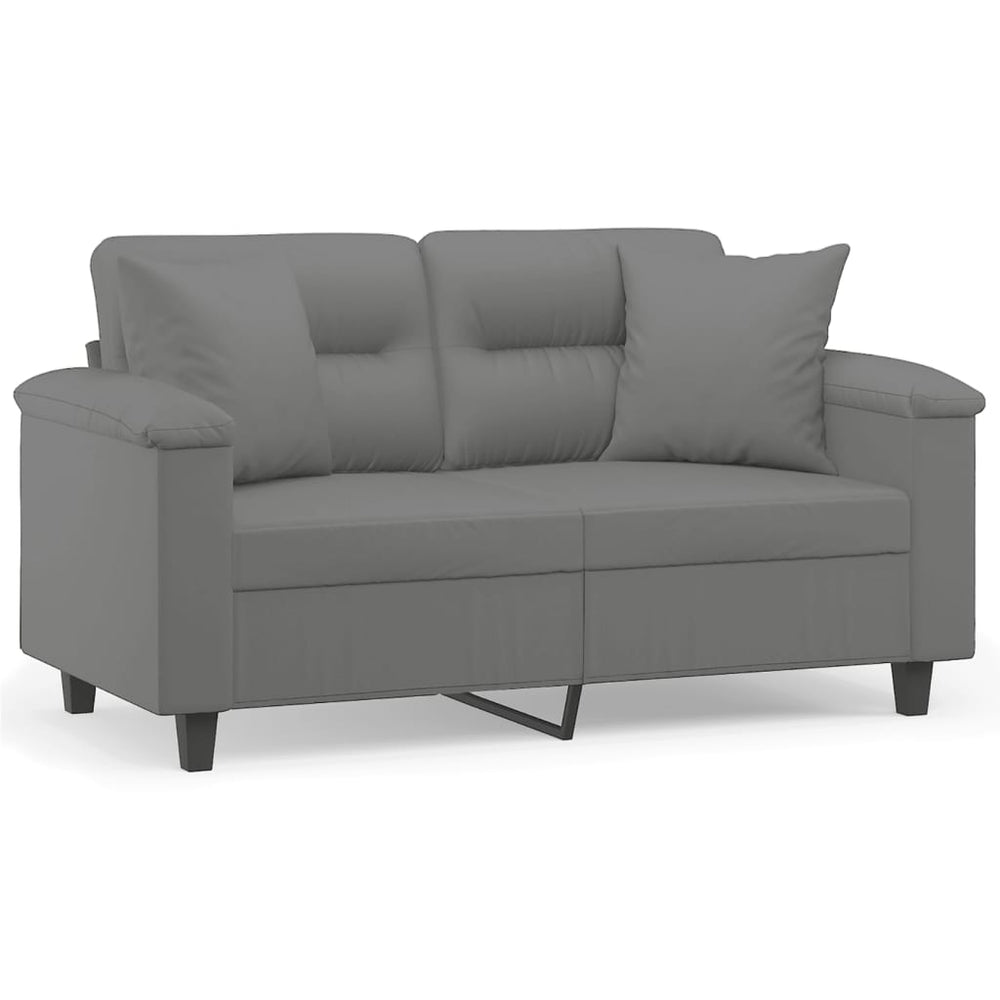 2-Sitzer Sofa Dunkelgrau mit Kissen