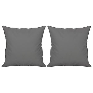 2-Sitzer Sofa Dunkelgrau mit Kissen