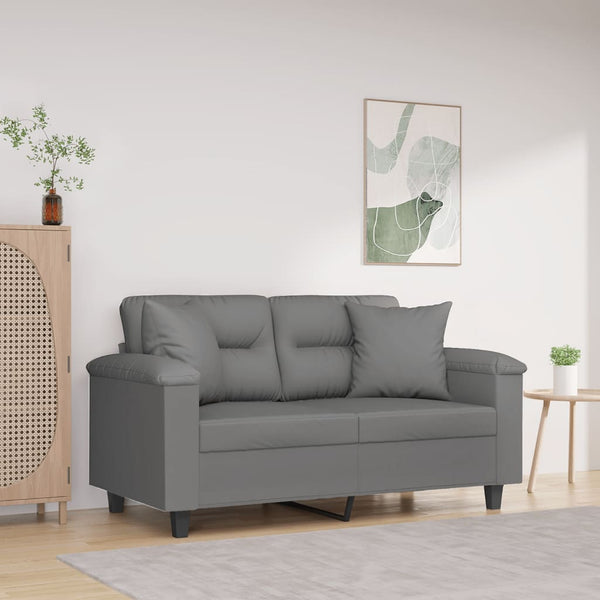 2-Sitzer Sofa Dunkelgrau mit Kissen