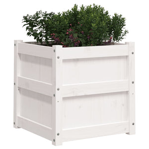 vidaXL Jardinière Blanc 50x50x50 cm Bois de pin massif