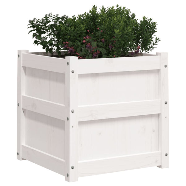 vidaXL Jardinière Blanc 50x50x50 cm Bois de pin massif