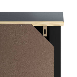 Toilettenschrank BERG Schwarz Massivholz