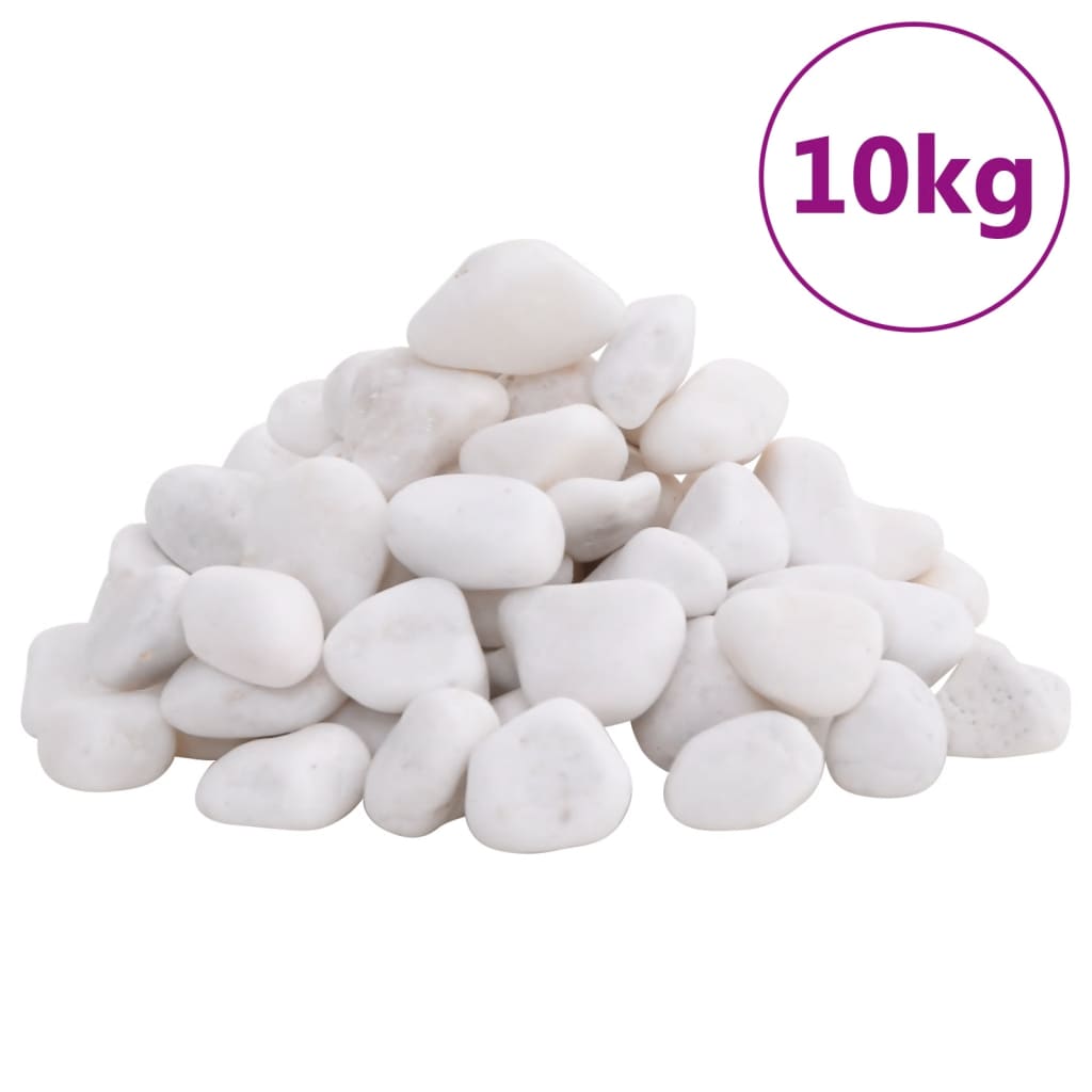 Polierte Kiesel 10 kg Weiß 2-5 cm