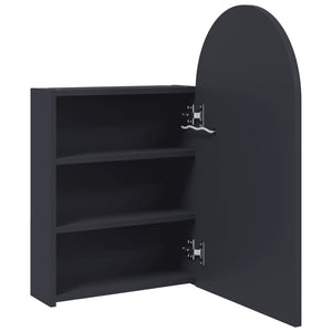 LED Spiegelschrank Grau 42x13x70 cm