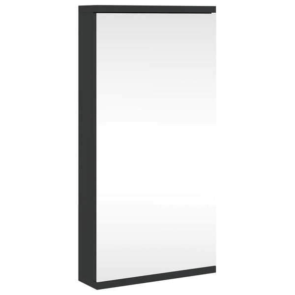vidaXL Corner Mirror Cabinet Black 30x24x60 cm