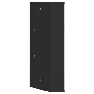 vidaXL Corner Mirror Cabinet Black 30x24x60 cm