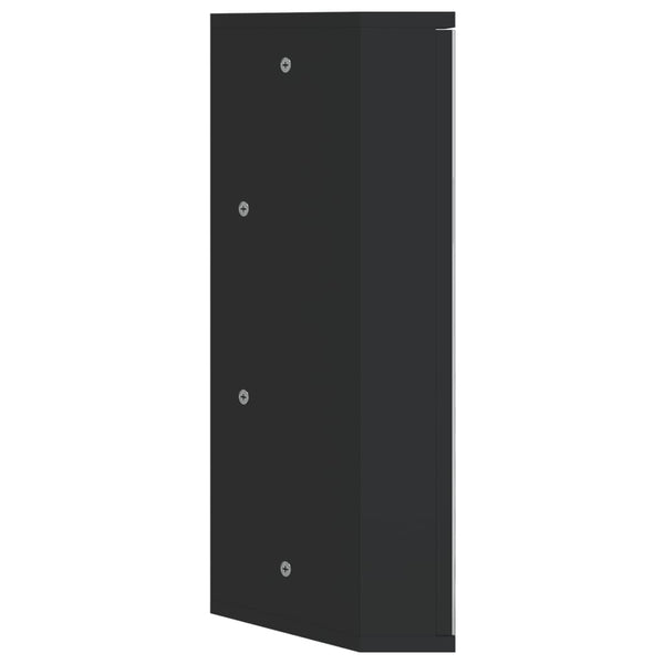 vidaXL Corner Mirror Cabinet Black 30x24x60 cm