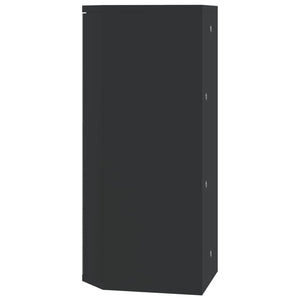 vidaXL Corner Mirror Cabinet Black 30x24x60 cm