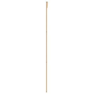vidaXL Porte coulissante Doré 102,5x205 cm Verre trempé mat et aluminium