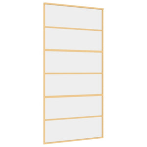 Schiebetür Golden 102,5x205 cm ESG-Klarglas und Aluminium