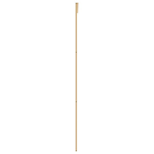 vidaXL Porte coulissante Dorée 102,5x205 cm en verre trempé transparent et aluminium