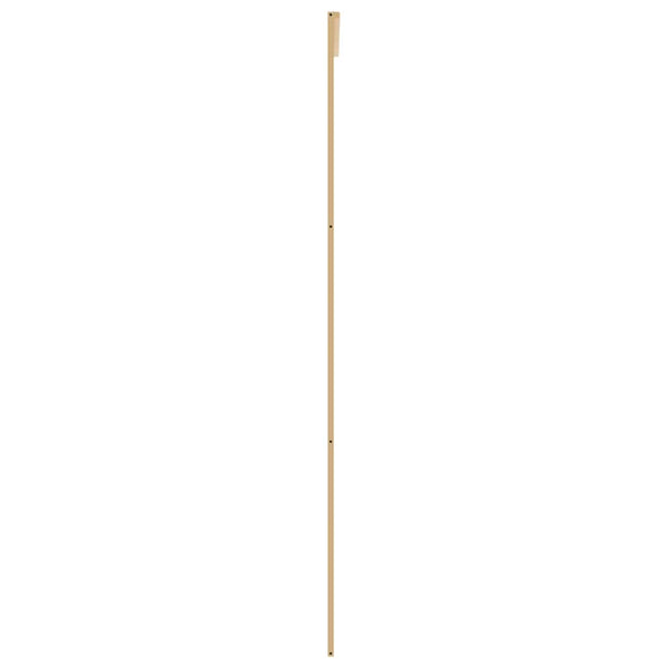 vidaXL Porte coulissante Dorée 102,5x205 cm en verre trempé transparent et aluminium