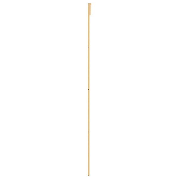 Schiebetür Golden 76x205 cm Matt ESG-Glas und Aluminium