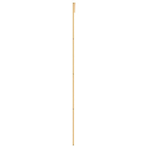 vidaXL Porte coulissante dorée 90x205 cm en verre ESG mat et aluminium