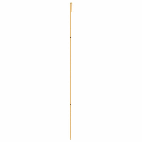 Schiebetür Golden 76x205 cm ESG-Klarglas und Aluminium