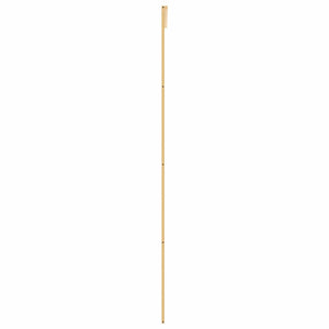 vidaXL Porte coulissante Doré 90x205 cm verre trempé transparent et aluminium