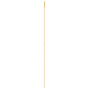 Schiebetür Golden 102,5x205 cm Matt ESG-Glas und Aluminium