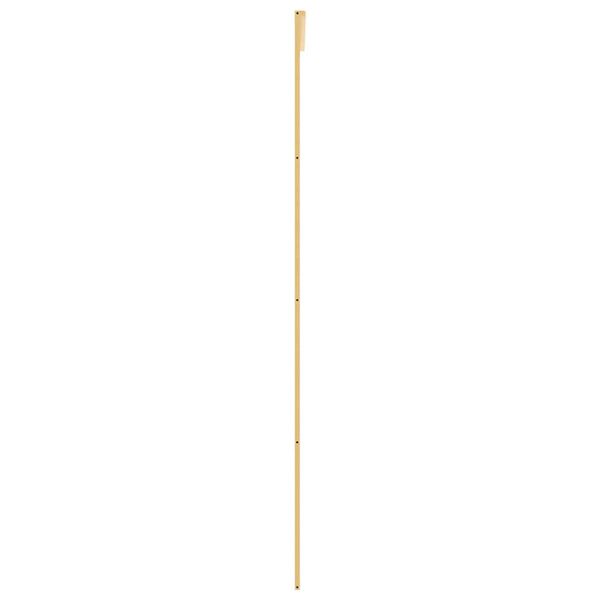 Schiebetür Golden 102,5x205 cm Matt ESG-Glas und Aluminium