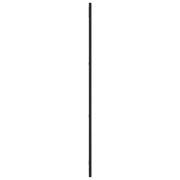 Schwarzer Wandspiegel 30x100 cm Rechteckig