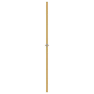Innentür Schlank Golden 102,5x201,5 cm Hartglas und Aluminium