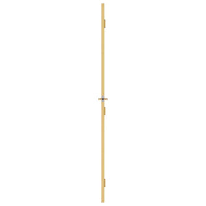 Innentür Schlank Golden 76x201,5 cm Hartglas und Aluminium