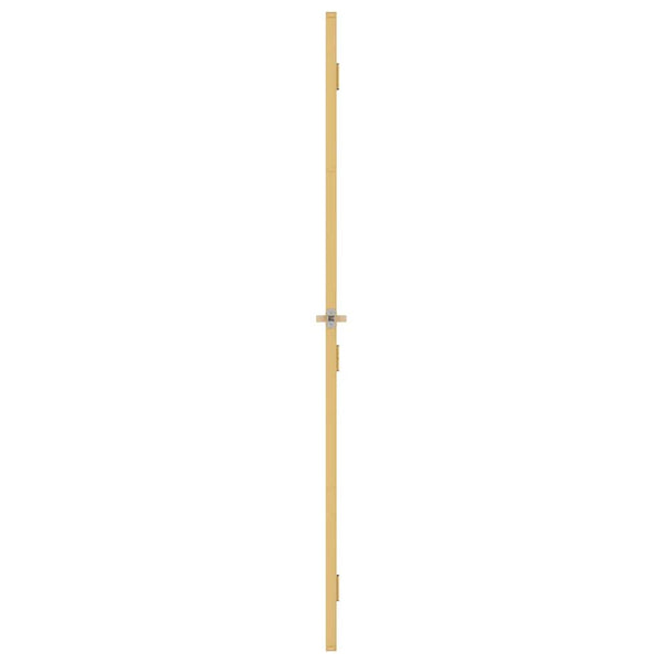 Innentür Schlank Golden 76x201,5 cm Hartglas und Aluminium