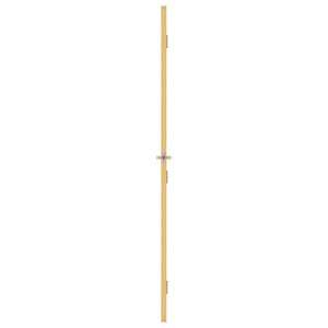 Innentür Schlank Golden 93x201,5 cm Hartglas und Aluminium