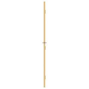 Innentür Schlank Golden 102,5x201,5 cm Hartglas und Aluminium