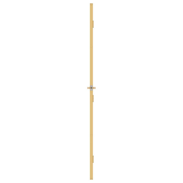 Innentür Schlank Golden 102,5x201,5 cm Hartglas und Aluminium