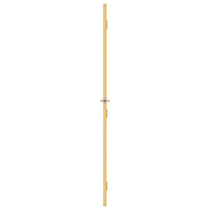 Innentür Schlank Golden 76x201,5 cm Hartglas und Aluminium
