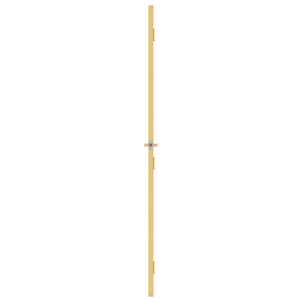 Innentür Schlank Golden 76x201,5 cm Hartglas und Aluminium