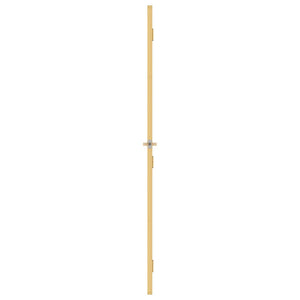 Innentür Schlank Golden 83x201,5 cm Hartglas und Aluminium