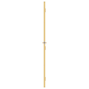 Innentür Schlank Golden 102,5x201,5 cm Hartglas und Aluminium