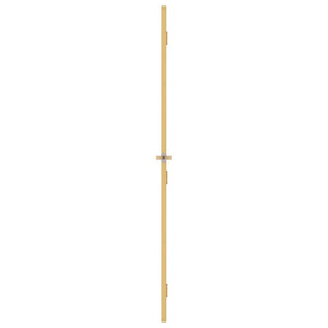Innentür Schlank Golden 76x201,5 cm Hartglas und Aluminium