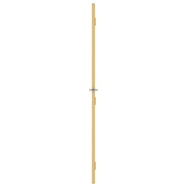 Innentür Schlank Golden 83x201,5 cm Hartglas und Aluminium