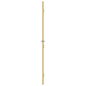 Innentür Schlank Golden 93x201,5 cm Hartglas und Aluminium