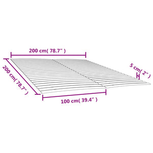 Lattenrost 2er Set 100x200 cm