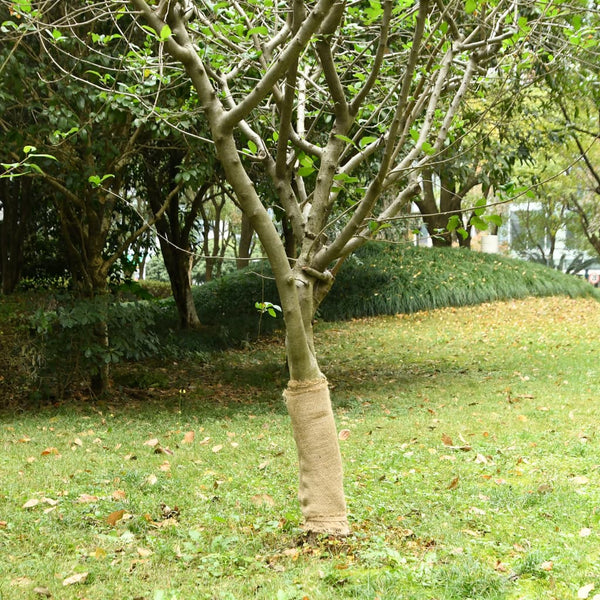 vidaXL Rouleaux de jute 2 pcs 0,5x50 m 100 % jute 200 g/m²