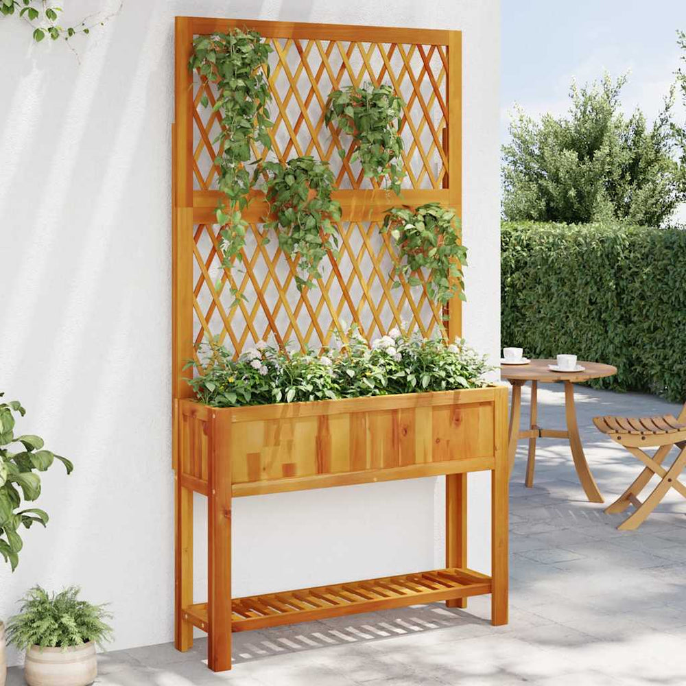 Pflanzkübel mit Rankgitter Akazienholz 100cm