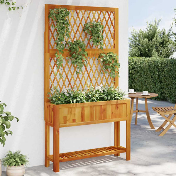 Pflanzkübel mit Rankgitter Akazienholz 100cm