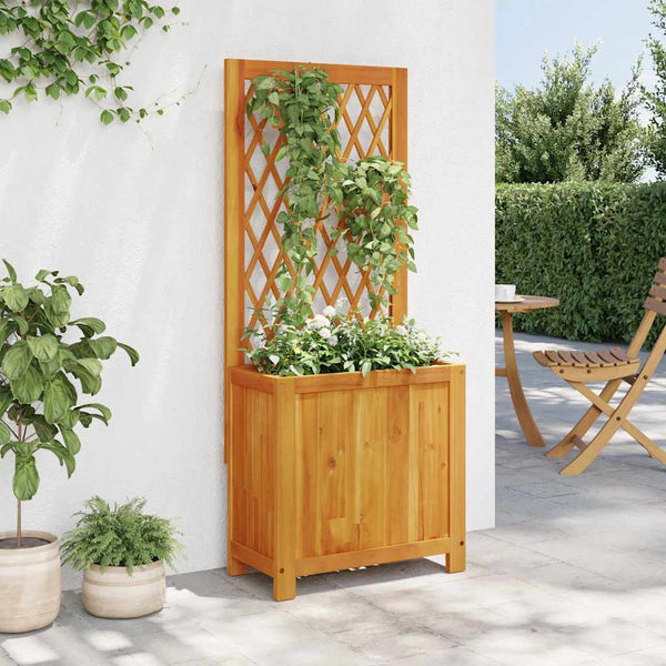 Pflanzkübel mit Rankgitter Akazie 55x29,5x132cm