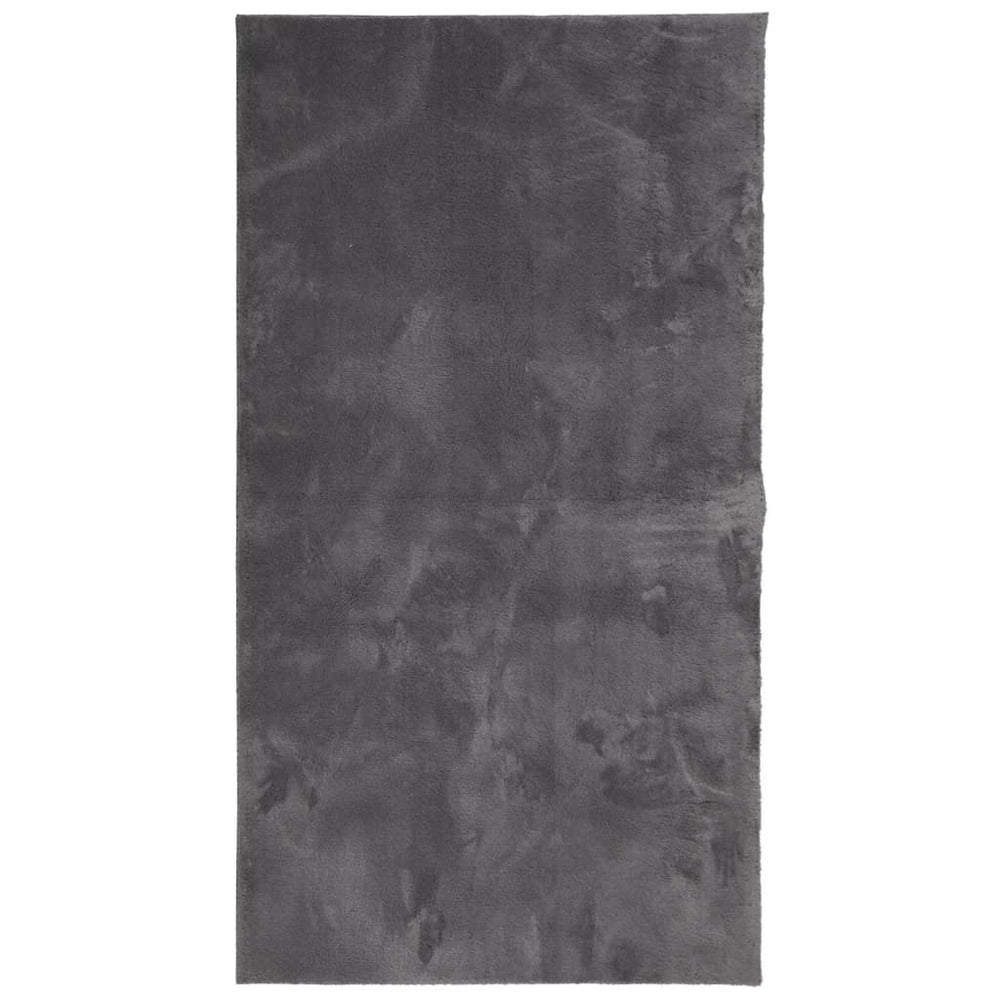 Anthrazit Teppich HUARTE Kurzflor 80x150 cm