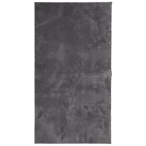 Anthrazit Teppich HUARTE Kurzflor 80x150 cm