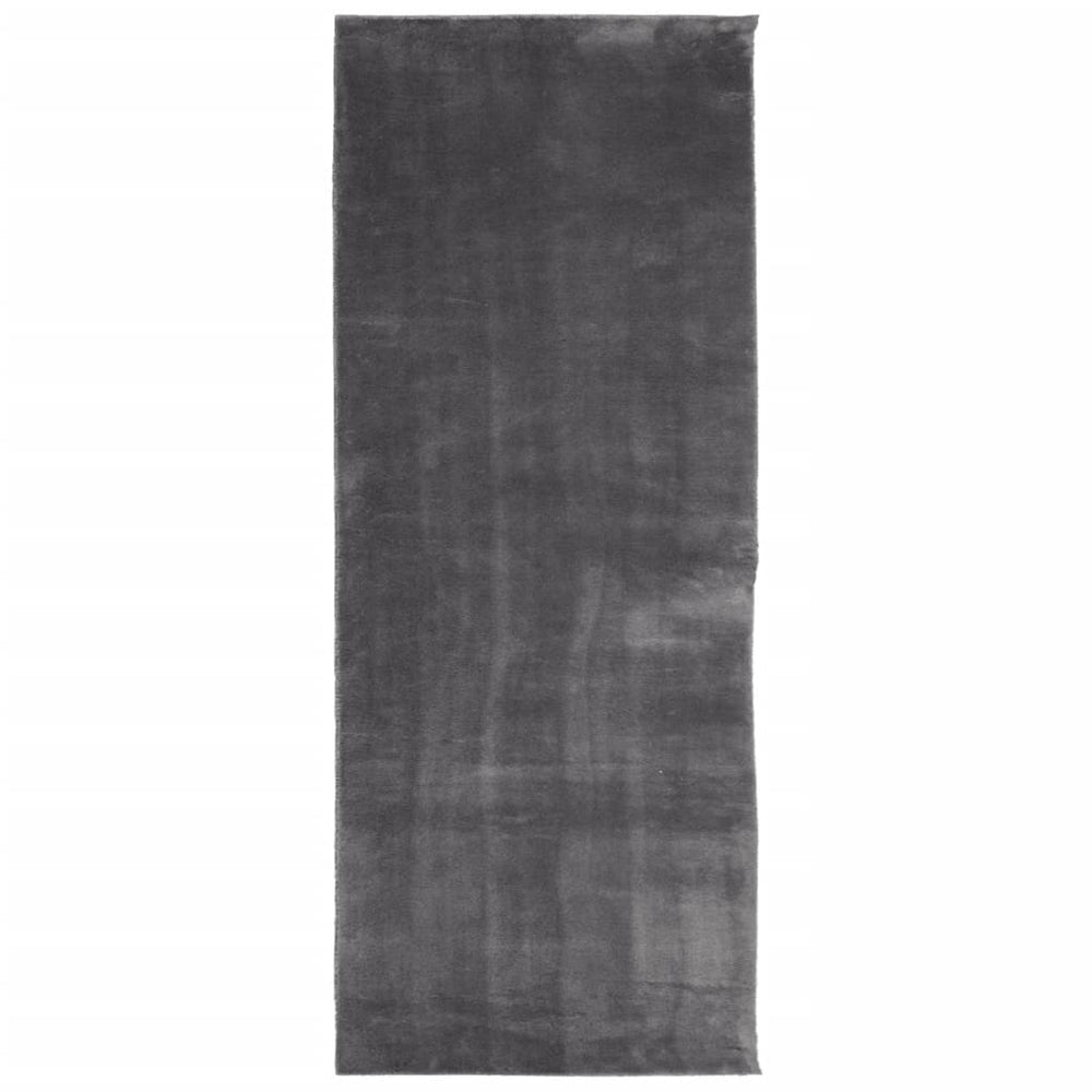 Anthrazit Teppich HUARTE 80x200 cm