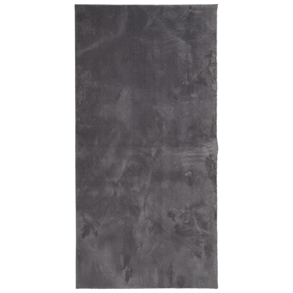Anthrazit Teppich Kurzflor 100x200 cm