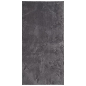 Anthrazit Teppich Kurzflor 100x200 cm