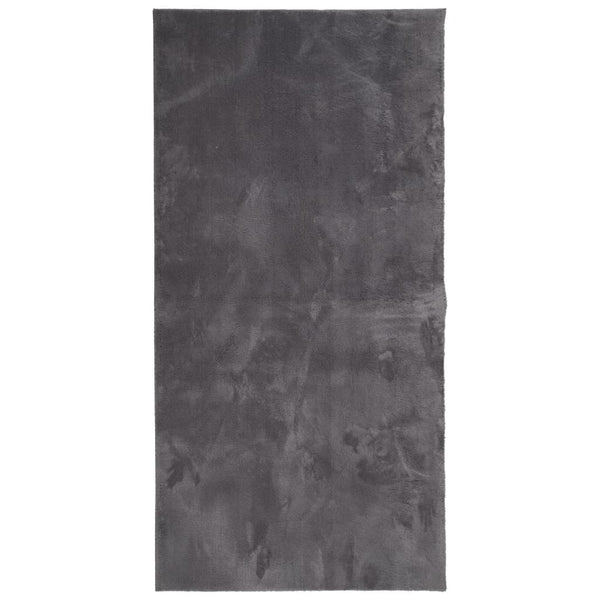 Anthrazit Teppich Kurzflor 100x200 cm