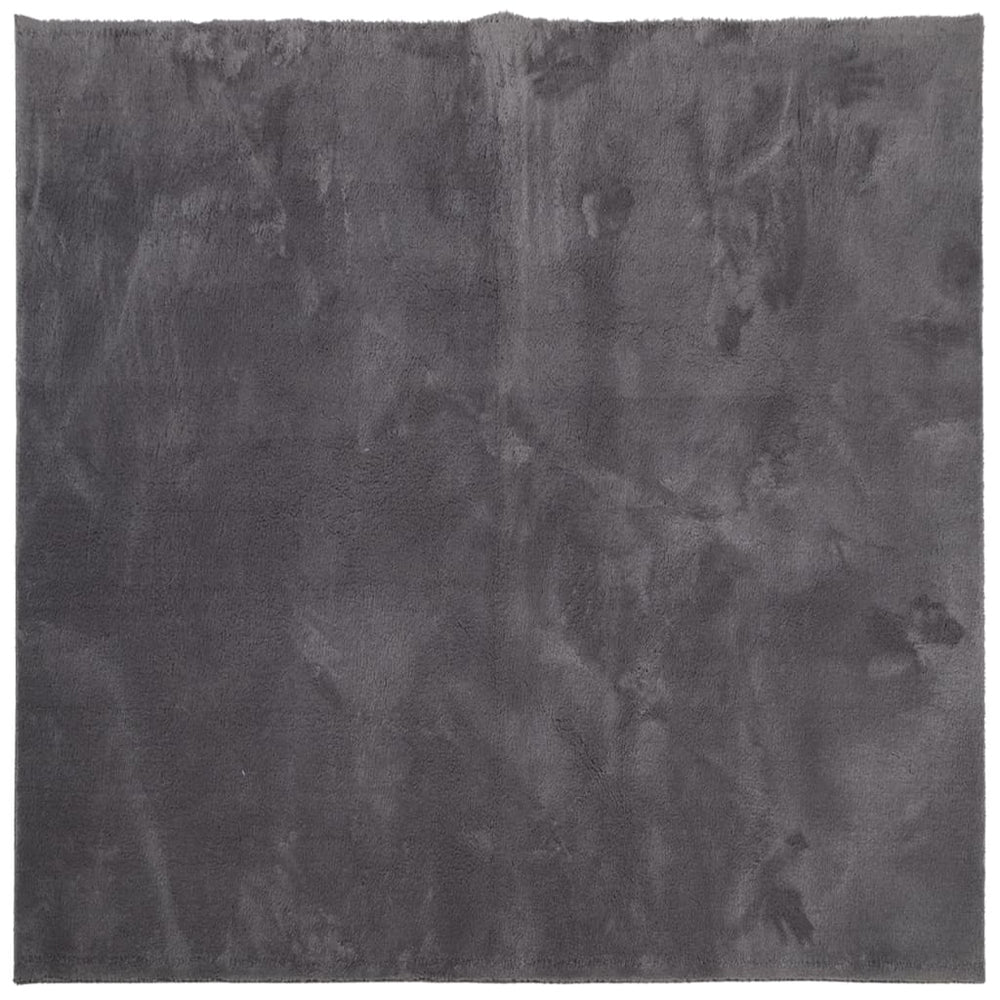 Waschbarer Teppich HUARTE Anthrazit 120x120 cm