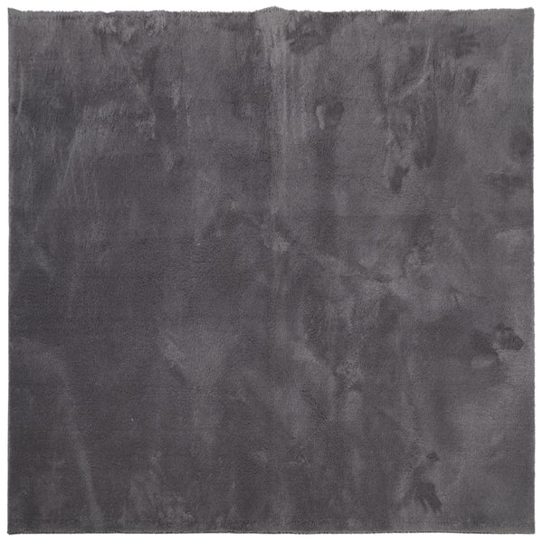 Waschbarer Teppich HUARTE Anthrazit 120x120 cm